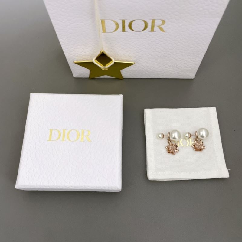 Christian Dior Earrings